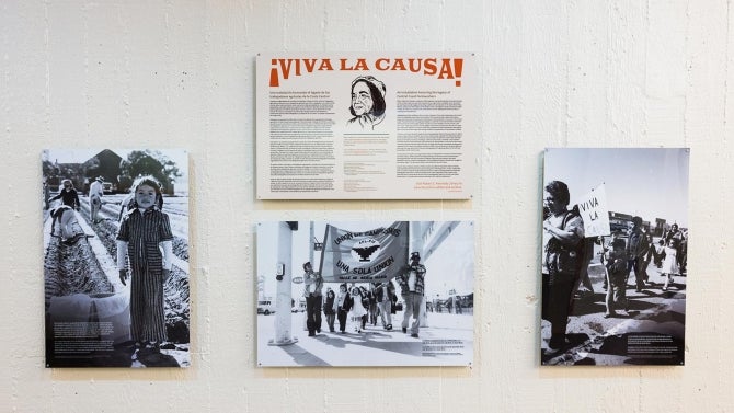 Display at the Viva la Causa Exhibit
